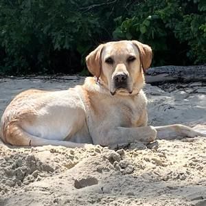 Meet your Posher, Beth